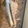 ae111 headlight levin Image 3