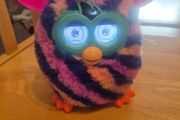 Furby - 2012/2013