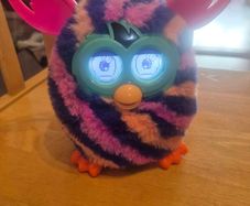 Furby - 2012/2013