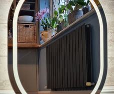 LED Bathroom Mirror Oval Shape Dual LED Fog Free