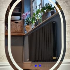 LED Bathroom Mirror Oval Shape Dual LED Fog Free