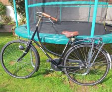 Avalon Ladies Bike