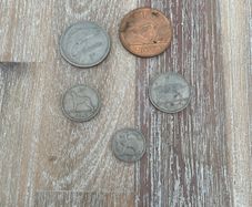 Irish pre-decimal coins