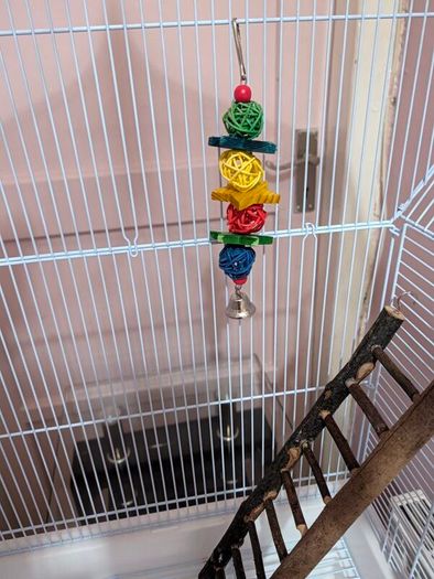 Bird Cage