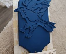 Harry Potter hairbrush