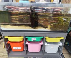 fish tank
