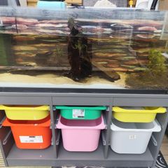 fish tank