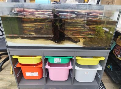 fish tank