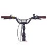 Cruiser EBike Image 5