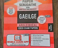 Irish exam papers