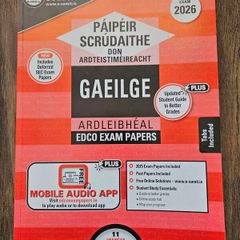 Irish exam papers