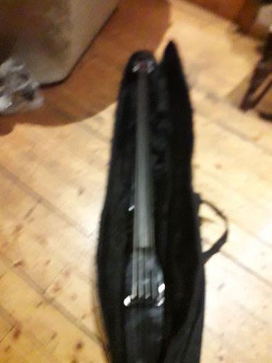 Stand up bass