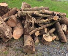 Firewood  ash