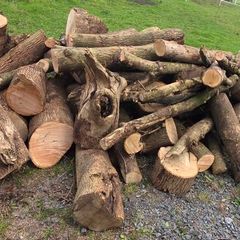 Firewood  ash