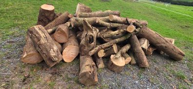 Firewood  ash