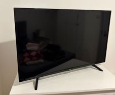Phillips 42" TV + Fire TV Stick