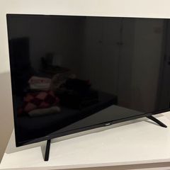 Phillips 42" TV + Fire TV Stick