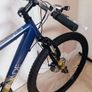 Large mountain bike in great working condition Image 3