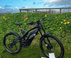 Electric Downhill, Sam Venom 2.020