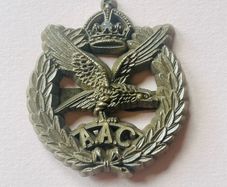 Scarce British WW2 economy plastic Beret badge Army Air Corps