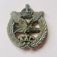 Scarce British WW2 economy plastic Beret badge Army Air Corps