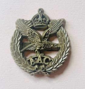 Scarce British WW2 economy plastic Beret badge Army Air Corps