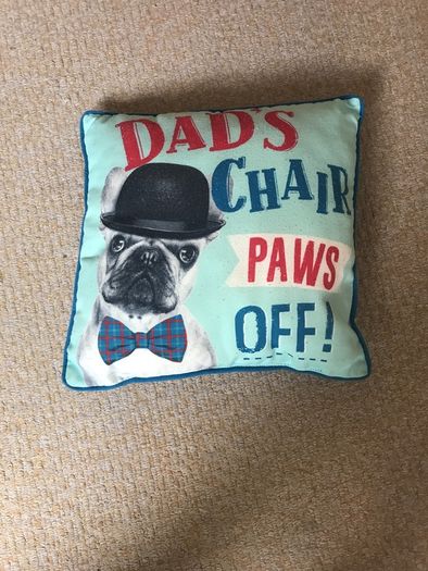 Dad's Chair Paws Off Cushion