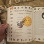 Sun & Moon Signs. An Anthological Guide To Love, Career & Destiny. By Marisa St Clair. First Edition Large Volume Hardback With Dustjacket In Good Condition.  See Photos For Same. Image 9