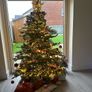 Christmas Tree Image 3