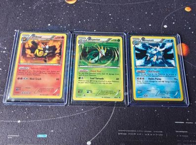 Emboar, Superior, Samurott pokemon cards