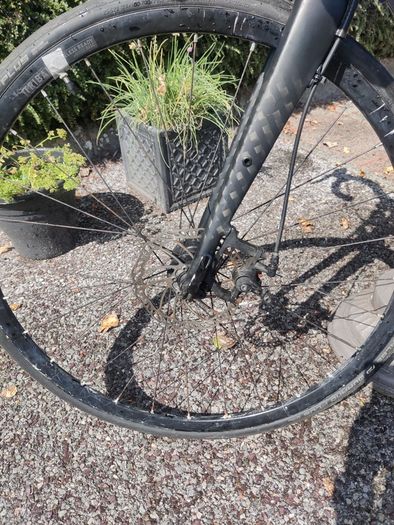 Men's Road Bike