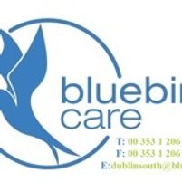 Bluebird Dublin South Jobs in Ireland