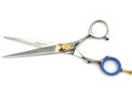 Professional Salon Hairdressing Hair Cutting Razor Scissors With Black Case (15.5cm, Silver)