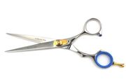 Professional Salon Hairdressing Hair Cutting Razor Scissors With Black Case (15.5cm, Silver)