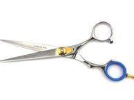 main image for ad Professional Salon Hairdressing Hair Cutting Razor Scissors With Black Case (15.5cm, Silver)