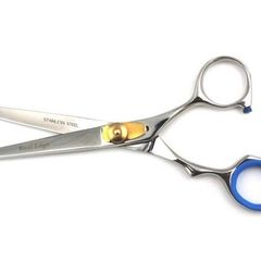 Professional Salon Hairdressing Hair Cutting Razor Scissors With Black Case (15.5cm, Silver)