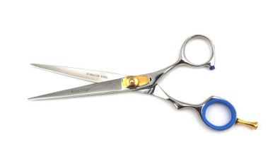 Professional Salon Hairdressing Hair Cutting Razor Scissors With Black Case (15.5cm, Silver)