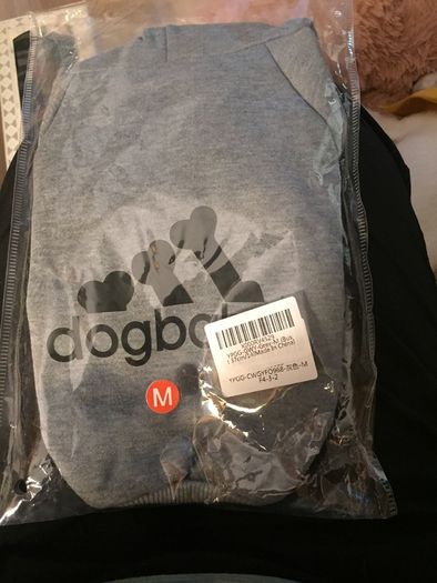 Dog Hoody
