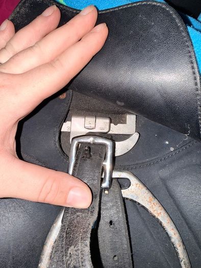 Wintec Isabell Werth 17.5 dressage saddle