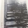 Photography. Image 6