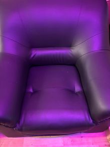 Furniture Arm chairs/sofa