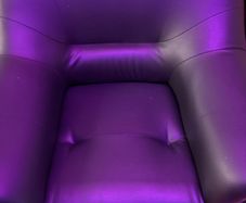 Furniture Arm chairs/sofa