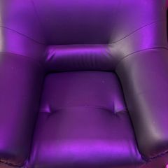 Furniture Arm chairs/sofa
