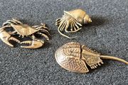 3 brass crabs,. Solid brass.