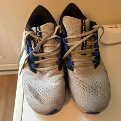 Mens Nike Pegasus 38