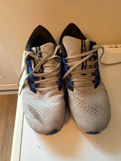 Mens Nike Pegasus 38