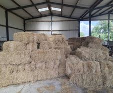 New Organic Small Square Hay Bales