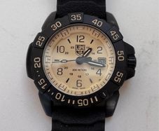Luminox Navy SEAL Swiss Quartz Watch 3251