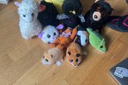 teddies