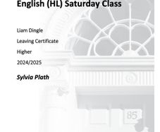 Leaving Cert English Institute Notes